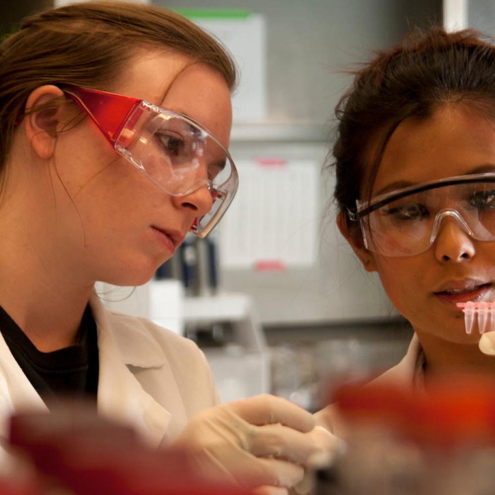 Two female researchers observing lab samples