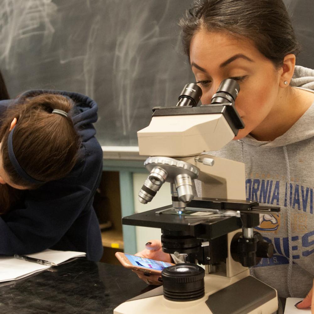 A student examines a plant specimen with a microscope