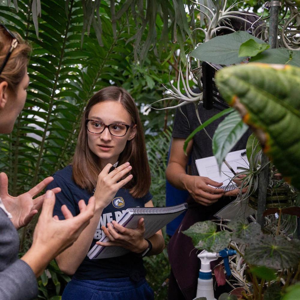 A student discusses a plant specimen with her professor in one of UC Davis's several green houses