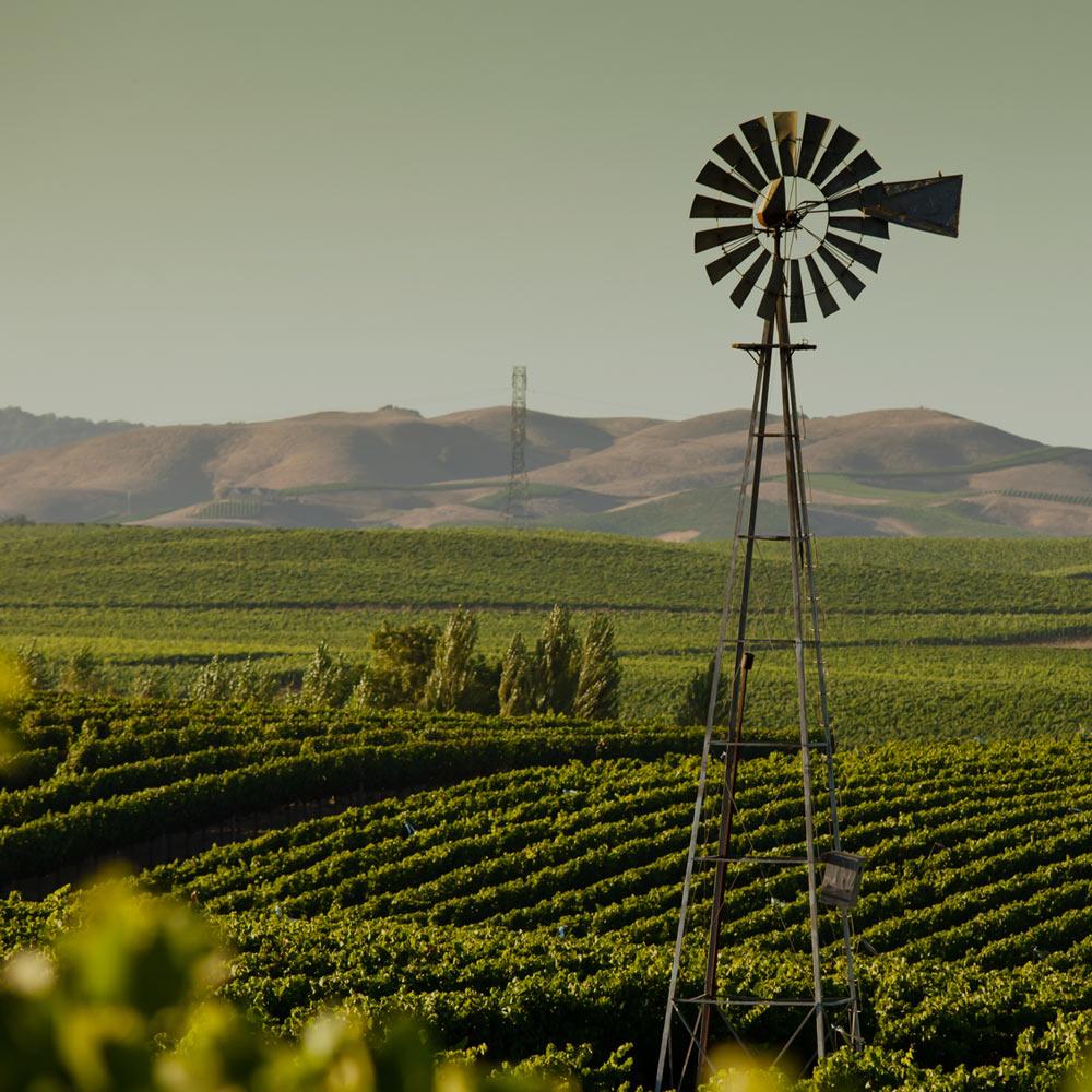 A windmill turns in the foreground with beautiful rolling hills covered in vineyards behind it.