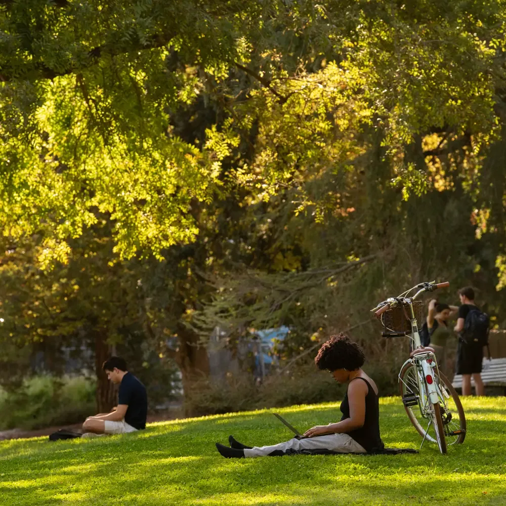 A person sits on a grassy lawn working on a laptop near a bicycle, with others sitting or standing among trees in the background on a sunny day.