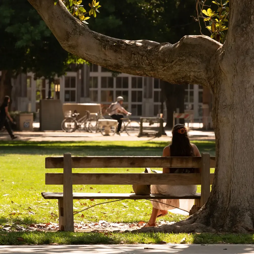 A person sits alone on a wooden bench under a large tree in a sunlit park, with bicycles and people passing in the background