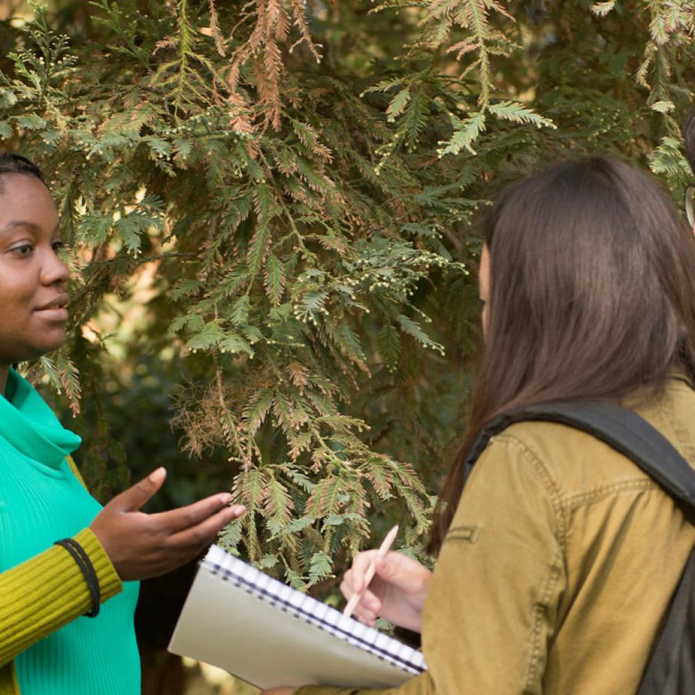 A PHD candidate discusses the Arboretum with students