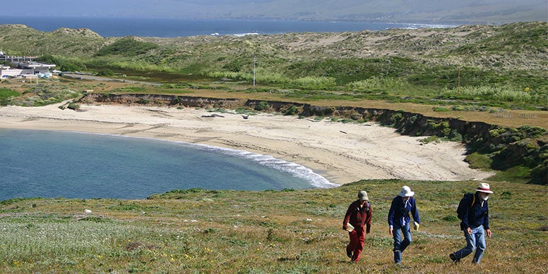 Three people walking across the headlands with a cove and the ocean behind them