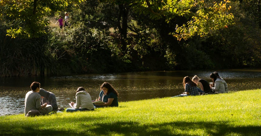 Small groups of students studying on grass by the water