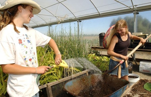 Two students working in a greenhouse