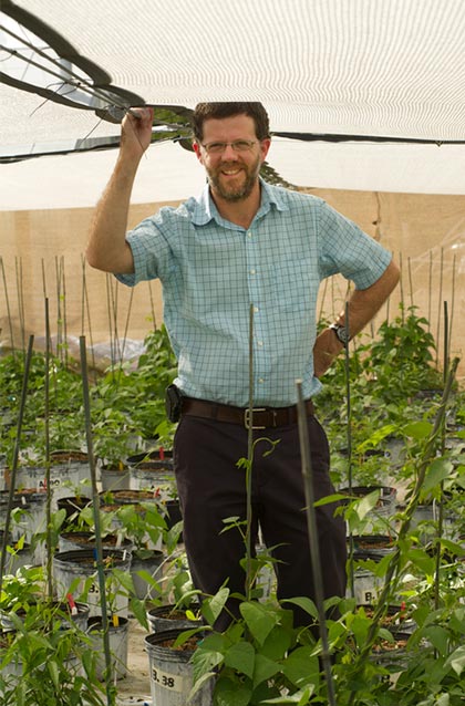 Man in greenhouse demonstrating the cloth covering
