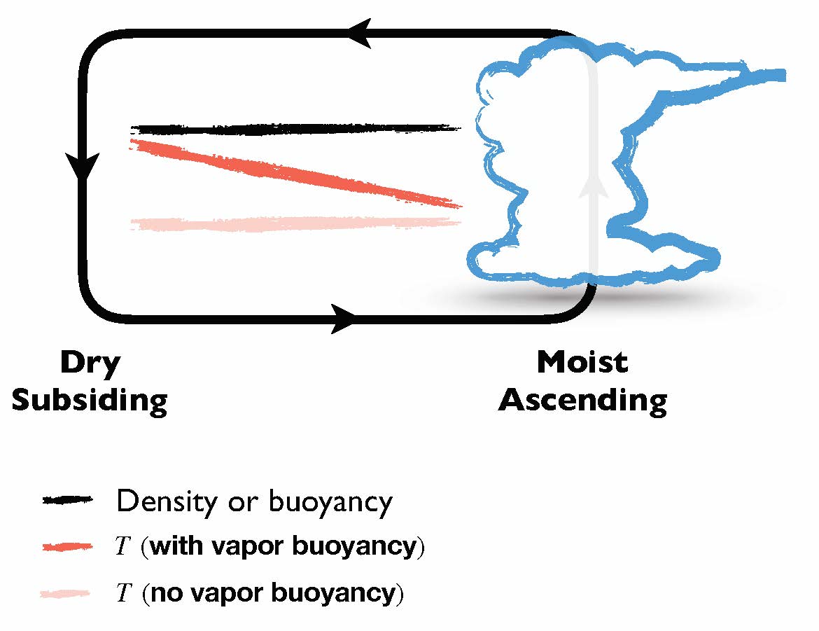vapor buoyancy