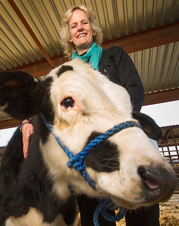 Woman stands with black and white calf
