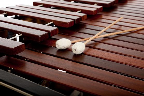 A close-up of a xylophone.