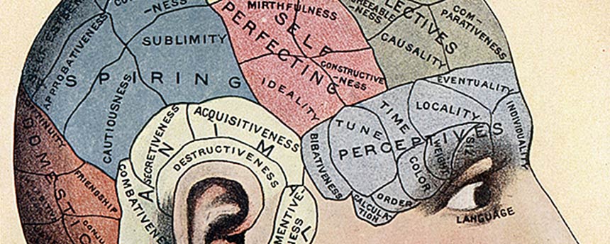 Drawing of a person and his brain, showing regions of the brain with various words