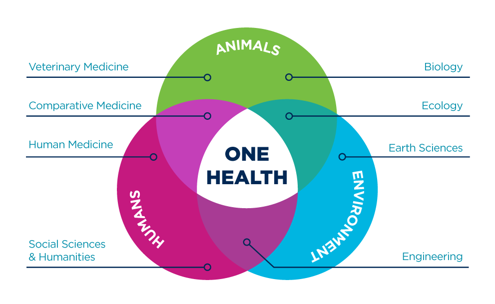 Uc Davis Health Org Chart