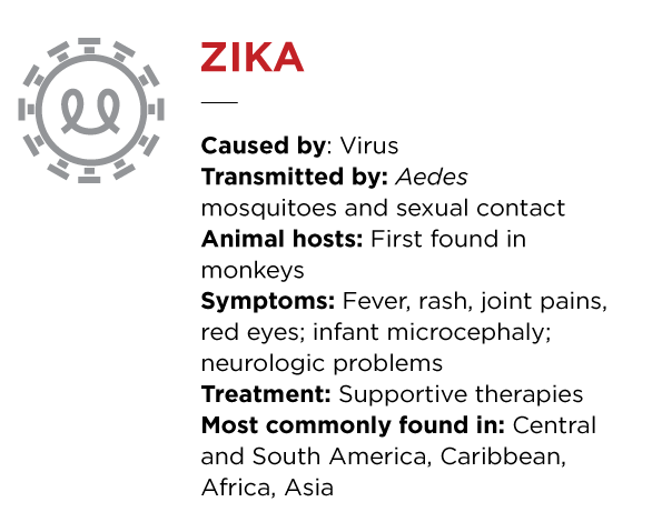 Zika Virus Illustration